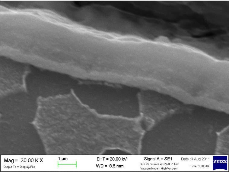 Strato 1 Riporto CrN (spessore 1 µm ; durezza pari a 3000 HV) Strato 2 Riporto DLC (spessore 2 µm ; durezza pari a 2500 HV) Lo