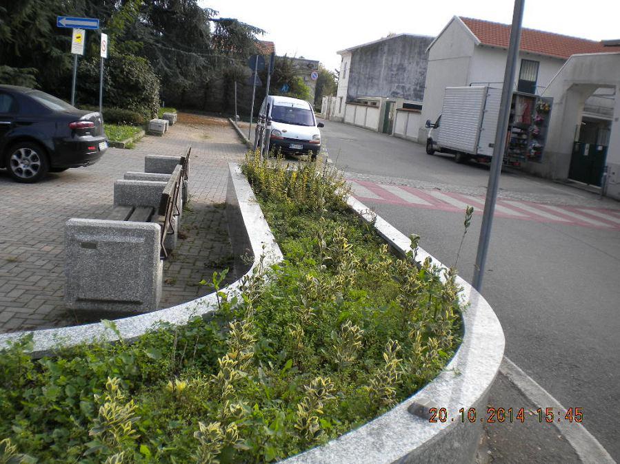 AIUOLE E FIORIERA DI VIA VARALLINO INCROCIO VIA CIMITERO E possibile mantenere le due aiuole e la fioriera in