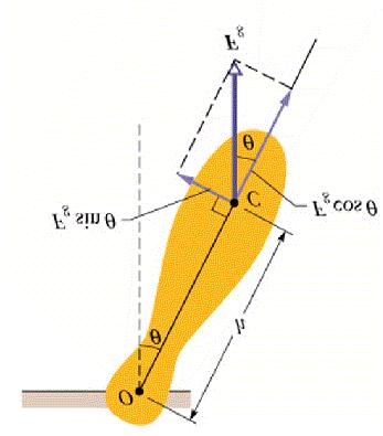 Il pendolo fisico o composto Il pendolo semplice appena trattato è un caso limite, nella realtà si ha a che fare con pendolo in cui la parte massiva è di dimensioni non trascurabili, si parla allora