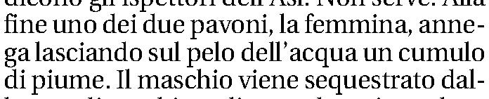 Quotidiano