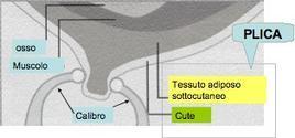 Misurazioni antropometriche PESO, ALTEZZA Indice di Massa Corporea = peso (Kg)/altezza 2 (m) 2 CIRCONFERENZE