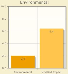 Il punteggio Environmental