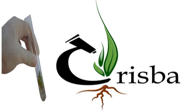 Il CRISBA è un Centro di ricerche scientifiche istituito il 12 Luglio