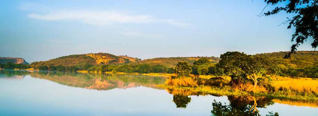 FORTI, TIGRI E TAJ DELHI AGRA RANTHAMBORE JAIPUR DELHI a partire da 800 Agra Ranthambore DURATA: 8 GIORNI - 7 NOTTI - 6 pernottamenti in camera doppia negli alberghi previsti dal programma o similari