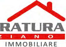 41 MONTECCHIO CENTRO MORCIOLA Cell. 339 2337650 Cell. 333 1888892 schiaraturagm@gmail.