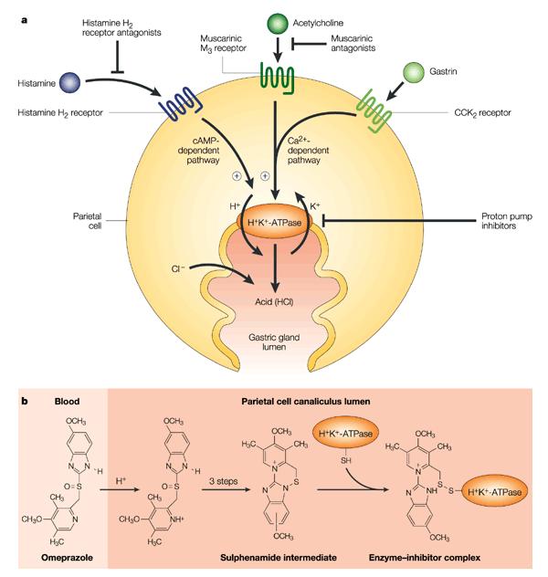 Nature Reviews Drug