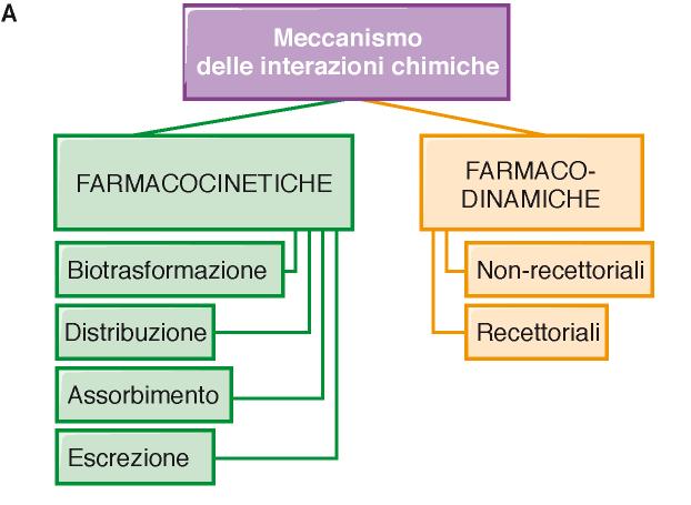 Interazione