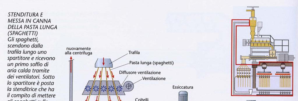 Stenditura: la pasta calda (48-50 C) e molle (29-33% H 2 O)