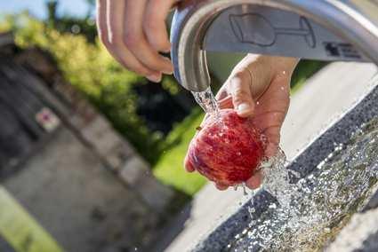 Escursione guidata alle malghe dal 7 giugno al 25 ottobre La nostra guida vi condurrà ogni settimana in una malga diversa, con una sosta in un rifugio rustico nei dintorni della nostra regione.