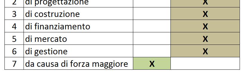 MATRICE DEI RISCHI Nella prassi, si valuto la convenienza del ricorso al PPP