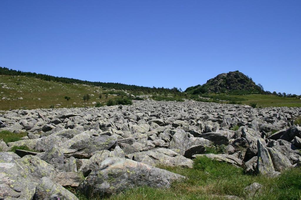 SEGNI DELLA NATURA.