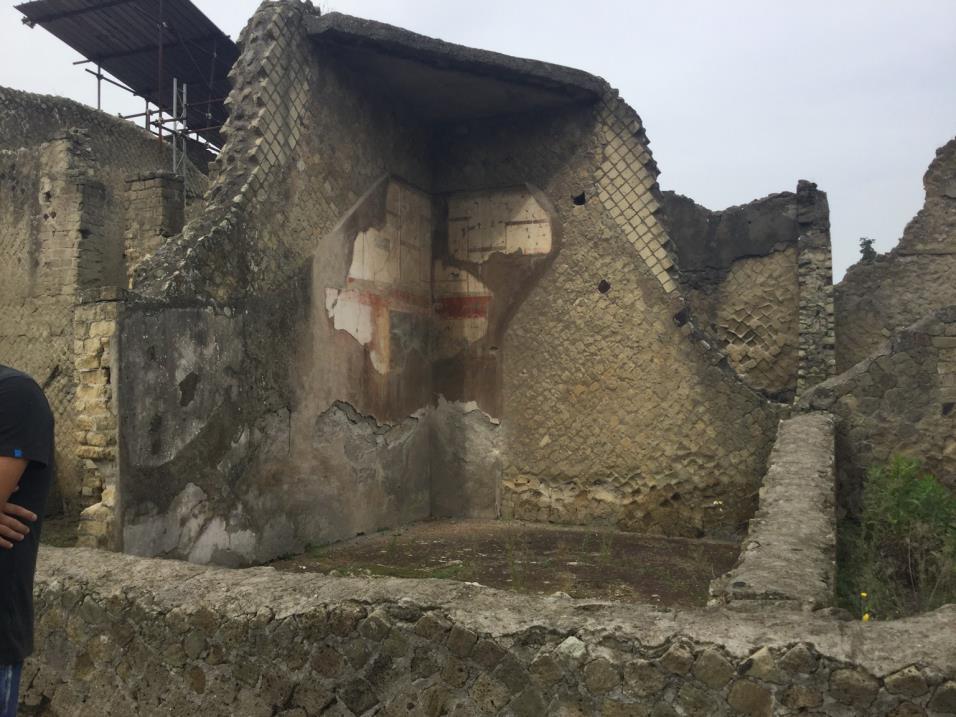 Le domus La tipica casa di Ercolano si presenta più piccola rispetto a quella dipompei,tuttavia le ville erano spesso decorate in modo raffinato