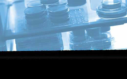 EVFTFT219 Controller for laboratory refrigerated cabinets, in split version and which can be integrated into the unit Controllore per armadi refrigerati da laboratorio, con display grafico TFT a