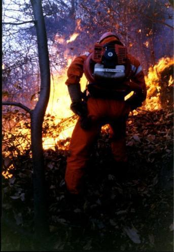 ATTREZZATURE E SPEGNIMENTO Overflow Il soffiatore viene utilizzato direttamente contro lo strato erboso, i cespugli o gli arbusti in fiamme.