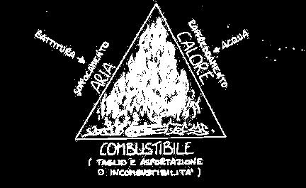 TRIANGOLO DEL FUOCO: richiamo COMBUSTIBILE, COMBURENTE e INNESCO sono i tre lati del cosiddetto TRIANGOLO DEL FUOCO. Non si può avere un incendio se non si hanno tutti e tre questi elementi.