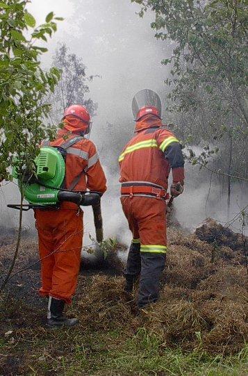 Composizione della squadra Una squadra dotata di atomizzatori e soffiatori costruisce la propria strategia d impiego su di essi. La squadra deve essere composta da almeno 4 operatori.