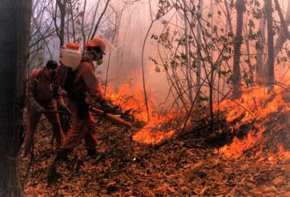 Isolare la zona incendiata per impedire un ulteriore espansione dell incendio.