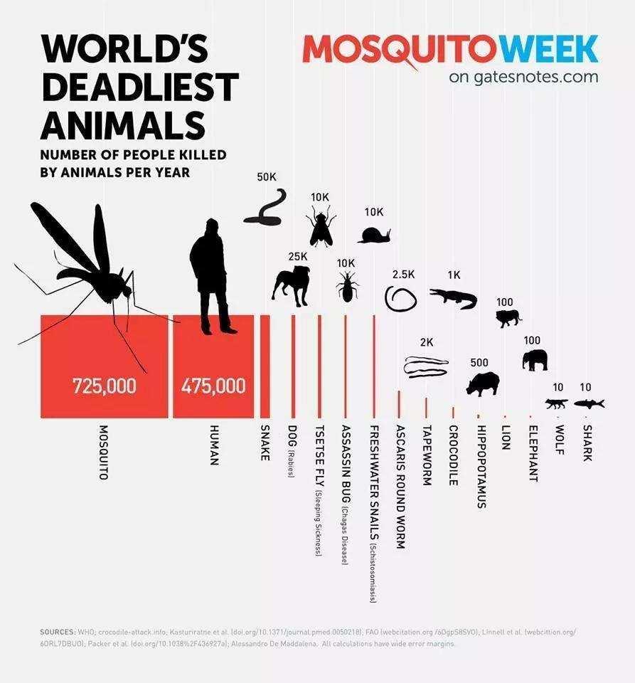 La classifica degli