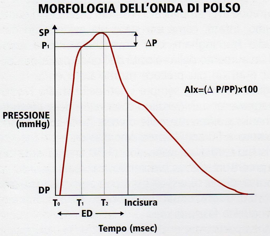 Pressione sistolica centrale Diff.pres.tra P1ed SP Amplificazione dell onda pres.differenziale Diff.tra la pa. minima e la p.