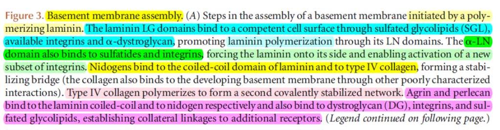 Cold Spring Harb Perspect Biol. 2011 Feb 1;3(2).