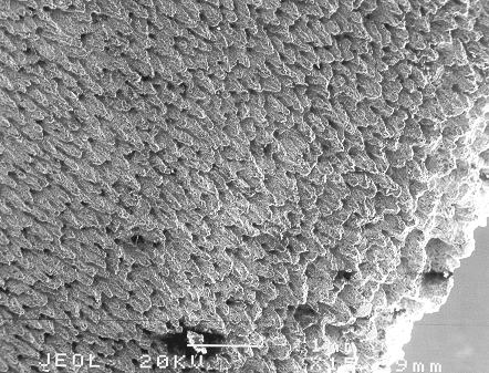 L ispezione del rotore ha evidenziato, nell ultimo stadio di bassa pressione, la rottura di alcune pale e una marcata erosione da particelle di acqua.