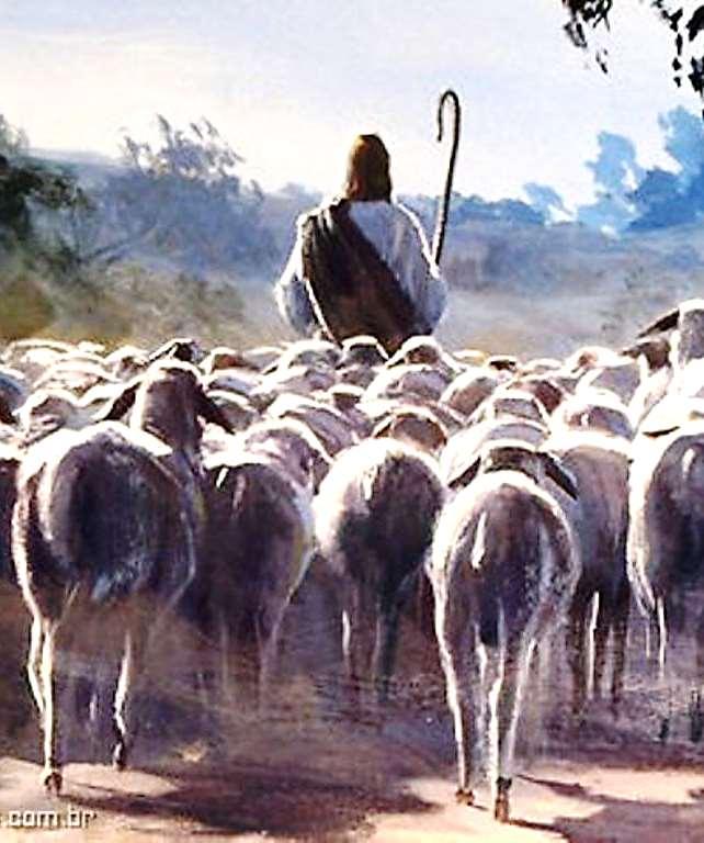 Gesù il buon pastore Giovanni 10.1-6 Le pecore hanno udirono la voce del pastore.. Riconobbero la sua voce come la del vero pastore.