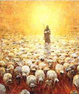Gesù il buon pastore Giovanni 10.7-21 (2) «La porta delle pecore» (v. 7).