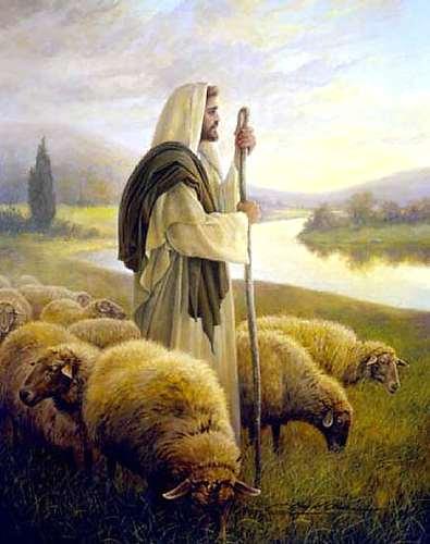 Gesù il buon pastore Giovanni 10.7-21 C. Il gregge (vv. 16 21). Le «altre pecore» sono i gentili che non si trovavano dentro della mandria ebrea.