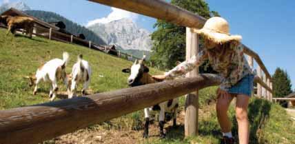 Lunedì ANDAR PER MALGHE 12 giugno - 16 settembre La malga Tovre ai piedi delle Dolomiti di Brenta in estate diventa il luogo dove entrare a contatto diretto con la natura e gli animali come le mucche