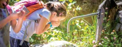 WELLNESS DAL BOSCO 16 giugno - 1 settembre Gettate di vapore e saune ai profumi del bosco. Assaggio di tisana alle erbe. Trattamento corpo alle erbe alpine in Bagno Turco.