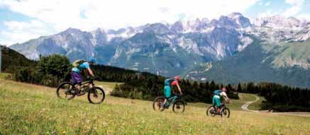 MTB DOLOMITI PAGANELLA BIKE Una rete di percorsi per mountain bike, di vario livello e per diverse discipline per un estensione totale di quasi 400 km.
