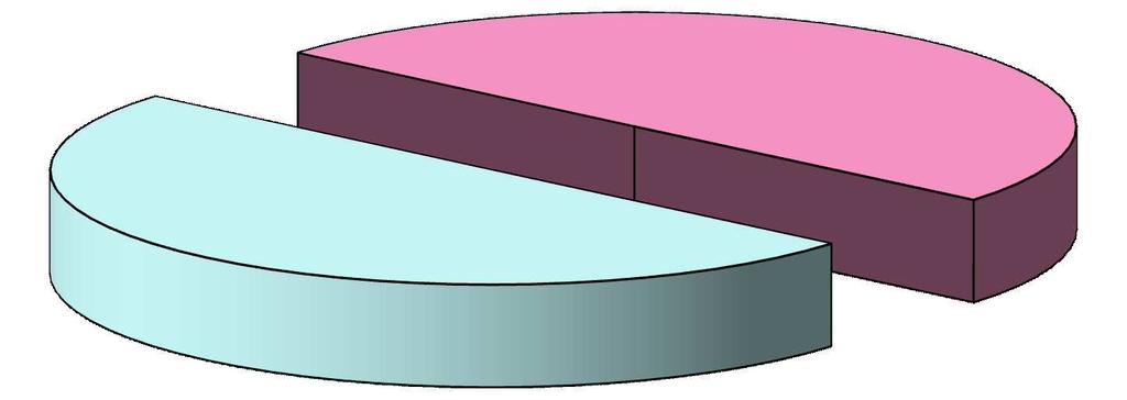 copertura del servizio del 5. 8.