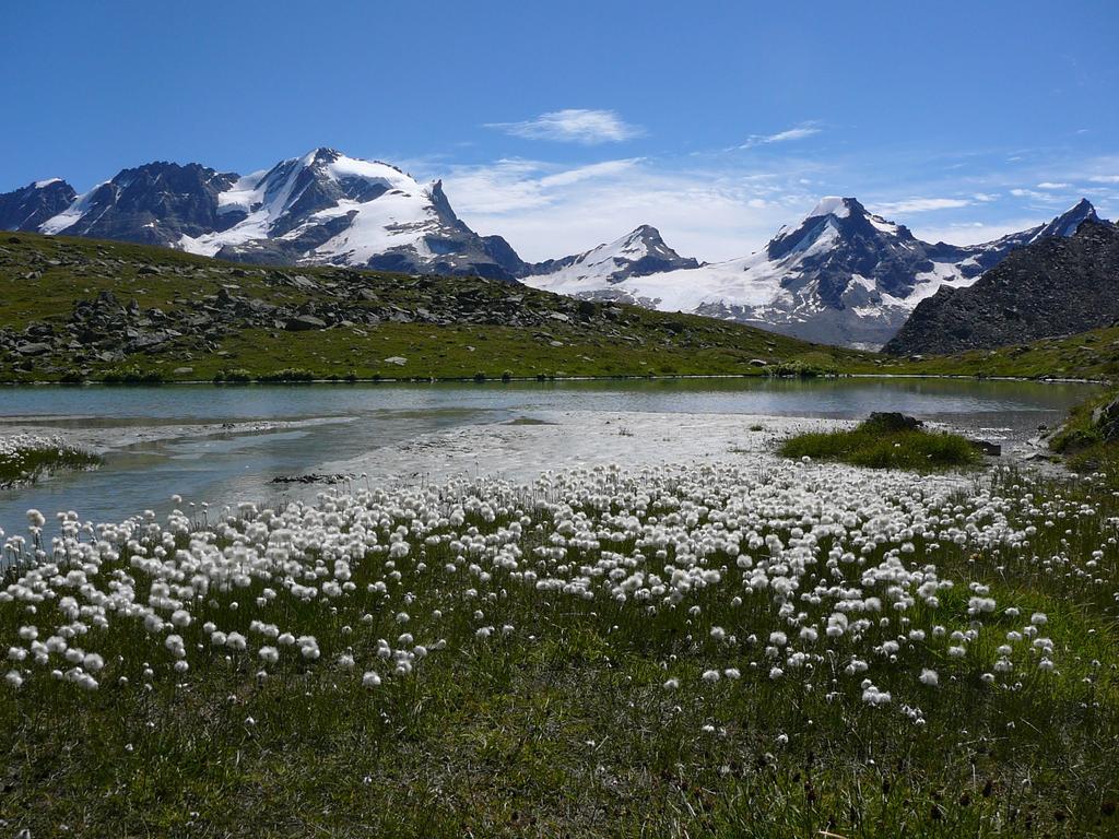 AGOSTO sabato 5 agosto SOPRA LE NUVOLE Ceresole Reale) Parco Gran Paradiso La montagna d'alta quota senza faticare, luci taglienti, il mondo piu' in basso, la vetta del Gran Paradiso che ci sovrasta,