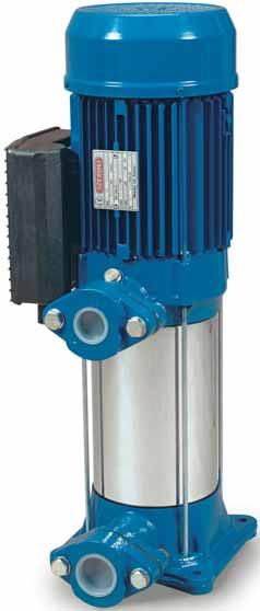 MULTISTGE VERTICL ELECTRIC PUMPS RVM F E D C DN DIMENSIONI E PESI -