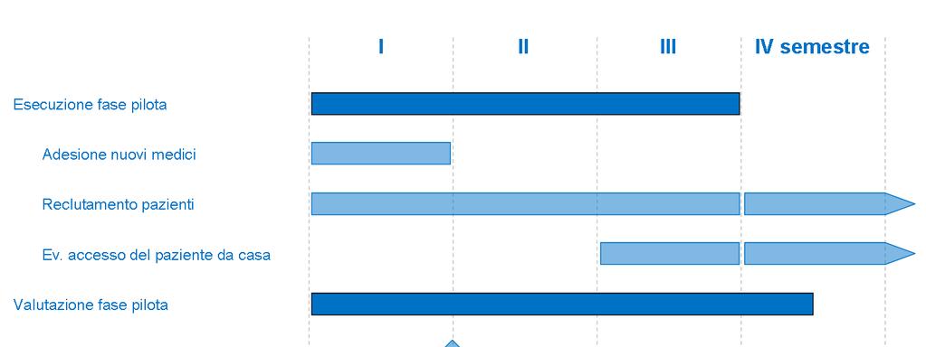 Panoramica Fase pilota Vantaggi e benefici attesi per i pazienti Basi legali Tecnologia Sicurezza informatica Valutazione Comunicazione 18 mesi, filiera oncologica Gestire meglio la propria malattia