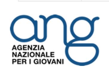 Youth work in Italy, Youth Exchanges, Voluntary Service Giovani