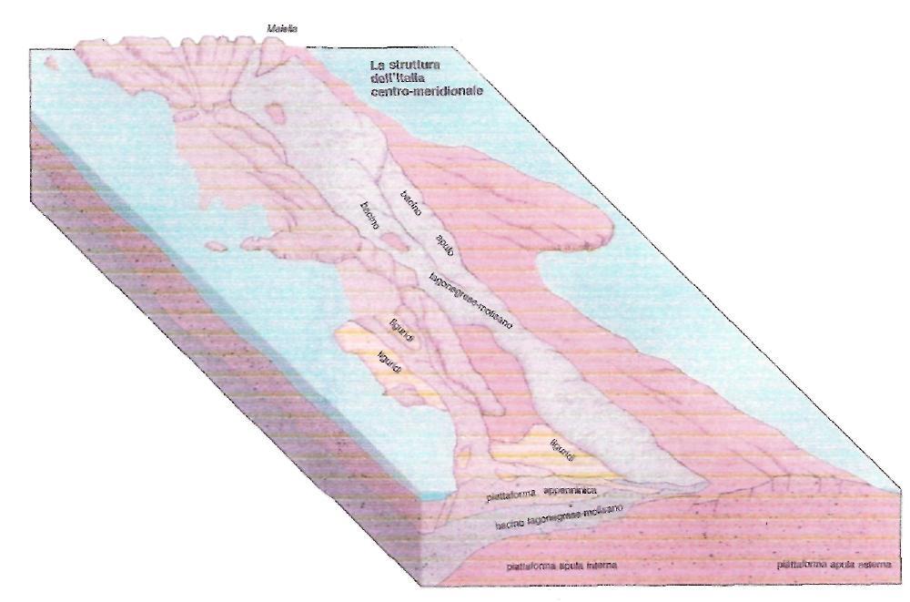 Schema semplificato dell odierno modello tettonico GEOLOGIA DELL AREA L area oggetto di analisi geologica appartiene alla collina materana ed è impostata nei terreni compresi tra le coltri