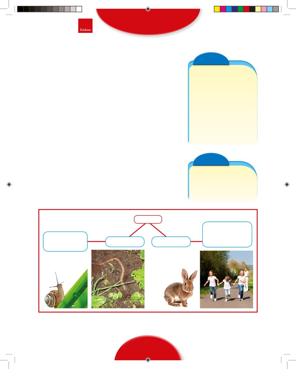 GLI ANIMALI Classifichiamo gli animali classificare gli animali, gli scienziati tengono conto di una importante caratteristica, cioè la presenza della colonna vertebrale.