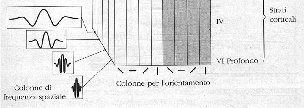 e colonne che rispondono