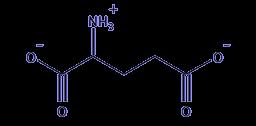GABA E GLUTAMMATO AMINOACIDI Acido g-amino-butirrico (GABA)