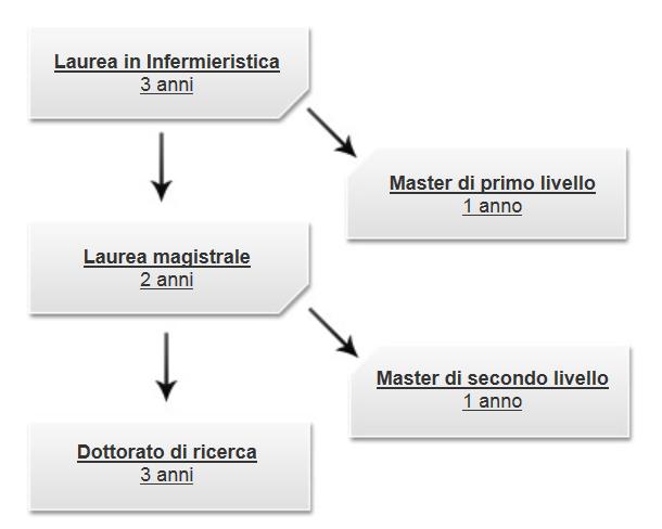 Il percorso formativo dell infermiere in Italia Decreto del Ministero