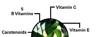 Double X NUTRLTE Fitonutrienti Vitamine Antiossidanti Enzimi Per