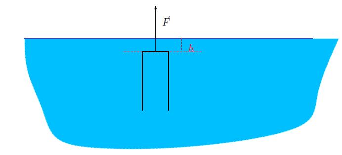 (13/07/03) Una provetta di massa m, altezza l e sezione S è immersa completamente in un liquido di densità ρ che la riempie completamente.