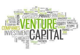 Il venture capital «Venture capital Mezzi finanziari investiti nel capitale proprio di società non quotate, di nuova attivazione o dotate di progetti ad alto potenziale di sviluppo.