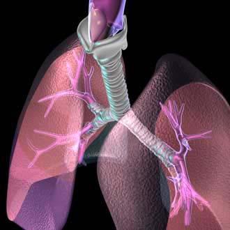 IL RESPIRO NEL DIABETE TIPO I S Borgonovo (1), M Morelli (1), M Rizzi (2), A De Palma (1), A Gazzarri (1), S Riboni (1), C Mameli (1), A Scaramuzza (1), GV