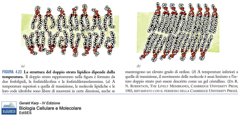 La temperatura influenza