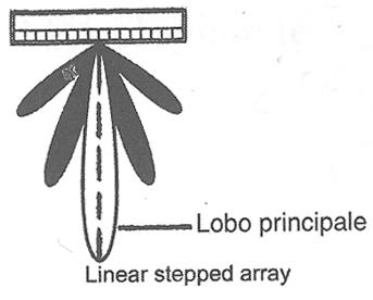 Formazione di lobi laterali in array lineari (si