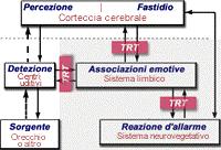 Acufeni, iperacusia e Tinnitus Retraining Therapy Persistenza ed interferenza dell'acufene secondo il modello di Jastreboff Come abbiamo visto, lo stesso "segnale in ingresso" può generare, grazie