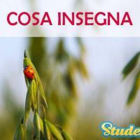 I ragazzi che si diplomano in questa scuola conoscono i processi di produzione e commercializzazione dei prodotti agroalimentari, hanno competenze nella gestione e nella tutela del territorio e delle