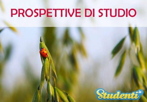 Gli studenti che hanno conseguito il diploma di questa scuola e non vogliono proseguire gli studi possono: - trovare lavoro in aziende agricole e vitivinicole - lavorare nell ambito del controllo